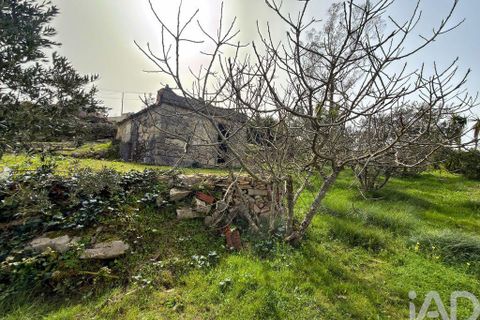 Byhus i Batalha, Leiria, Batalha - € 48.500 | Ref: 845149 - foto 20