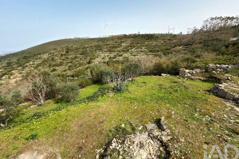 Byhus i Batalha, Leiria, Batalha - € 48.500 | Ref: 845149 - foto 22