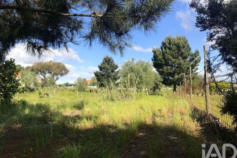 Byhus i Palmela, Setubal, Palmela - € 1.500.000 | Ref: 159348 - foto 10