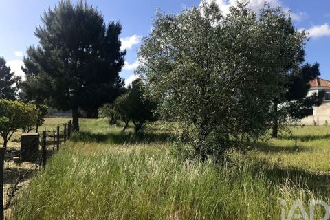 Byhus i Palmela, Setubal, Palmela - € 1.500.000 | Ref: 159348 - foto 11