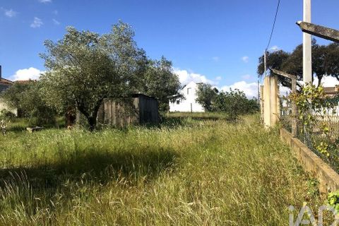 Byhus i Palmela, Setubal, Palmela - € 1.500.000 | Ref: 159348 - foto 12