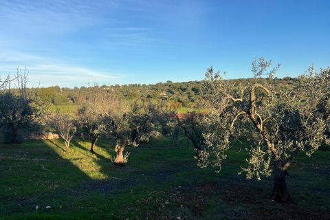 Helårsgrund i Ostuni, Brindisi, Ostuni - € 85.000 | Ref: 357 - foto 10
