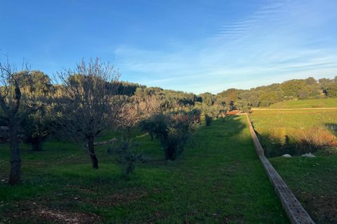 Helårsgrund i Ostuni, Brindisi, Ostuni - € 85.000 | Ref: 357 - foto 1