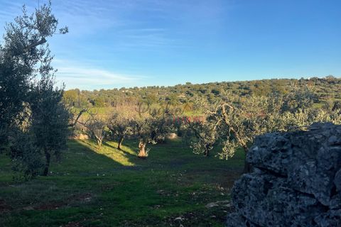 Helårsgrund i Ostuni, Brindisi, Ostuni - € 85.000 | Ref: 357 - foto 5