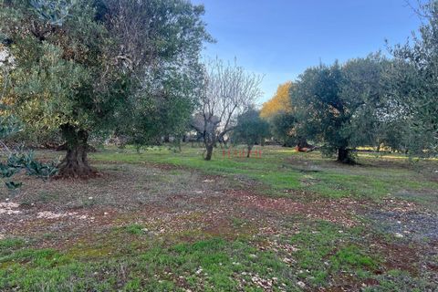 Helårsgrund i Ostuni, Brindisi, Ostuni - € 85.000 | Ref: 357 - foto 6