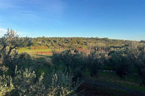 Helårsgrund i Ostuni, Brindisi, Ostuni - € 85.000 | Ref: 357 - foto 12