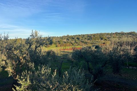 Helårsgrund i Ostuni, Brindisi, Ostuni - € 85.000 | Ref: 357 - foto 11