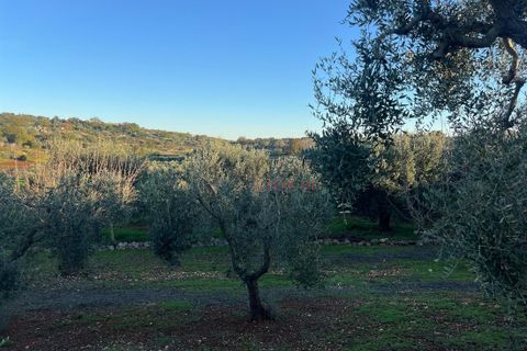 Helårsgrund i Ostuni, Brindisi, Ostuni - € 85.000 | Ref: 357 - foto 15