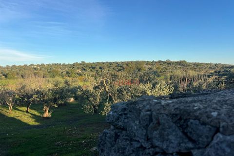 Helårsgrund i Ostuni, Brindisi, Ostuni - € 85.000 | Ref: 357 - foto 7