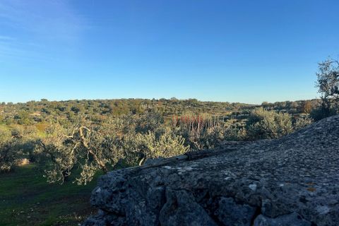 Helårsgrund i Ostuni, Brindisi, Ostuni - € 85.000 | Ref: 357 - foto 8