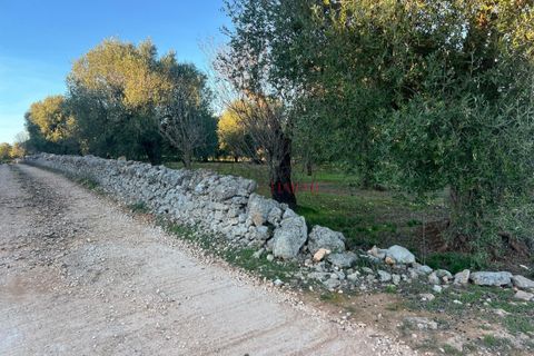 Helårsgrund i Ostuni, Brindisi, Ostuni - € 85.000 | Ref: 357 - foto 13