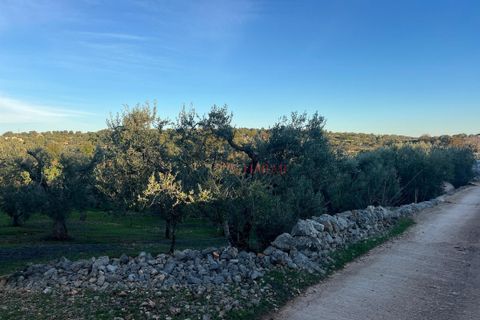 Helårsgrund i Ostuni, Brindisi, Ostuni - € 85.000 | Ref: 357 - foto 2