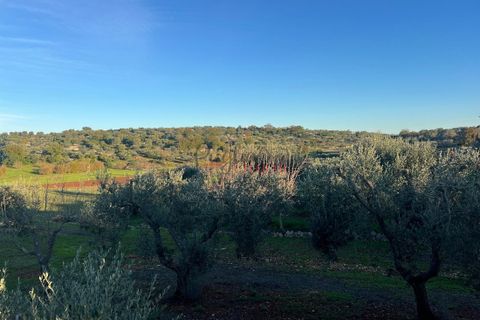 Helårsgrund i Ostuni, Brindisi, Ostuni - € 85.000 | Ref: 357 - foto 3
