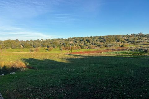 Helårsgrund i Ostuni, Brindisi, Ostuni - € 85.000 | Ref: 357 - foto 14
