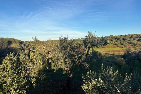 Helårsgrund i Ostuni, Brindisi, Ostuni - € 85.000 | Ref: 357 - foto 4