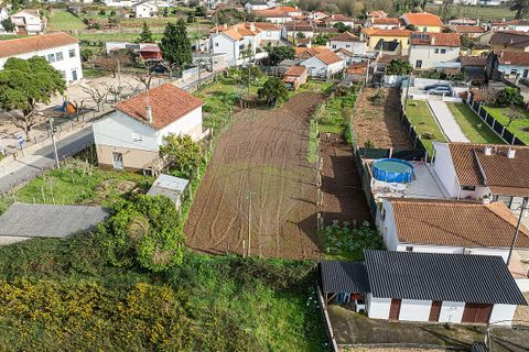 Villa a Valenca, Viana do Castelo, Valenca - € 105.000 | Ref: 123331212-80 - foto 8