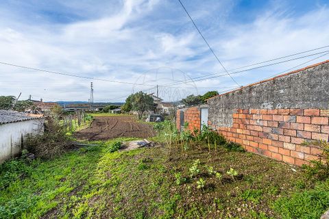 Villa a Valenca, Viana do Castelo, Valenca - € 105.000 | Ref: 123331212-80 - foto 12