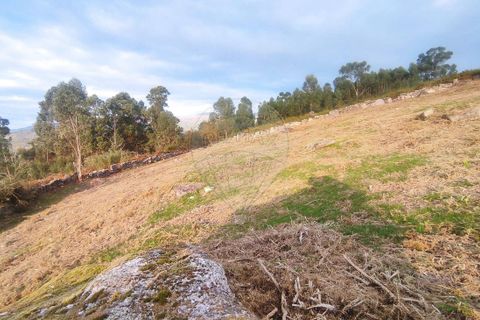 Helårsgrund i Arcos de Valdevez, Viana do Castelo, Arcos de Valdevez - € 27.000 | Ref: 123331167-558 - foto 5