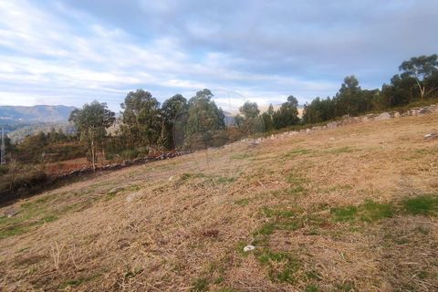 Helårsgrund i Arcos de Valdevez, Viana do Castelo, Arcos de Valdevez - € 27.000 | Ref: 123331167-558 - foto 9