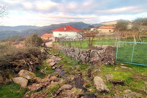 Helårsgrund i Arcos de Valdevez, Viana do Castelo, Arcos de Valdevez - € 48.000 | Ref: 123331167-559 - foto 9