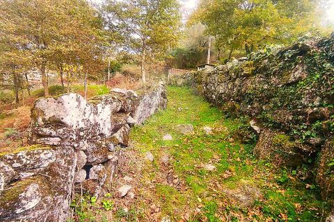Helårsgrund i Arcos de Valdevez, Viana do Castelo, Arcos de Valdevez - € 48.000 | Ref: 123331167-559 - foto 13