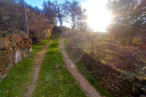 Helårsgrund i Arcos de Valdevez, Viana do Castelo, Arcos de Valdevez - € 48.000 | Ref: 123331167-559 - foto 15