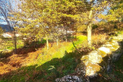 Helårsgrund i Arcos de Valdevez, Viana do Castelo, Arcos de Valdevez - € 48.000 | Ref: 123331167-559 - foto 23