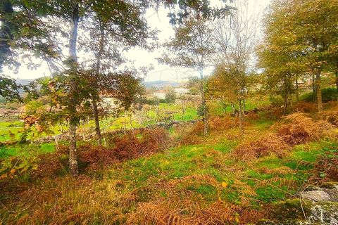 Helårsgrund i Arcos de Valdevez, Viana do Castelo, Arcos de Valdevez - € 48.000 | Ref: 123331167-559 - foto 25