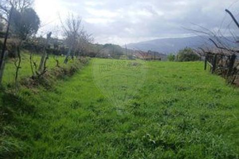 Helårsgrund i Arcos de Valdevez, Viana do Castelo, Arcos de Valdevez - € 48.000 | Ref: 123331167-559 - foto 10