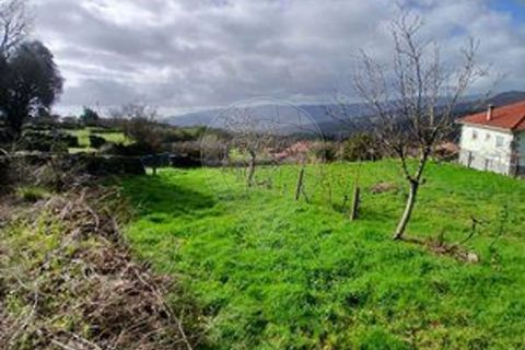 Helårsgrund i Arcos de Valdevez, Viana do Castelo, Arcos de Valdevez - € 48.000 | Ref: 123331167-559 - foto 12