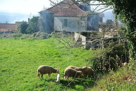 Villa a Valenca, Viana do Castelo, Valenca - € 78.000 | Ref: 123331212-79 - foto 23