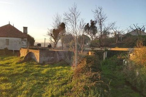 Villa a Valenca, Viana do Castelo, Valenca - € 78.000 | Ref: 123331212-79 - foto 25