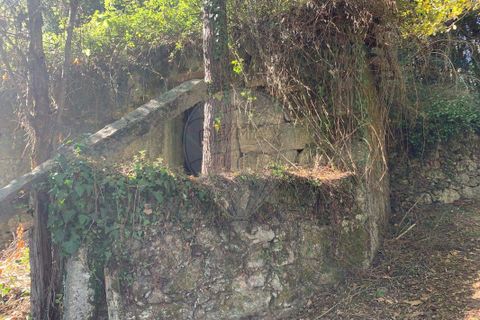 Villa i Vila Verde, Braga, Vila Verde - € 35.000 | Ref: 126971021-39 - foto 4