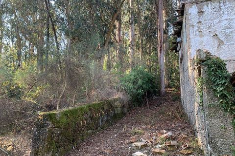 Villa i Vila Verde, Braga, Vila Verde - € 70.000 | Ref: 126971021-38 - foto 4