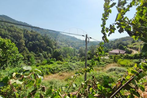 Villa a Terras de Bouro, Braga, Terras de Bouro - € 195.000 | Ref: 126971023-15 - foto 10