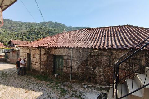 Villa a Terras de Bouro, Braga, Terras de Bouro - € 195.000 | Ref: 126971023-15 - foto 11