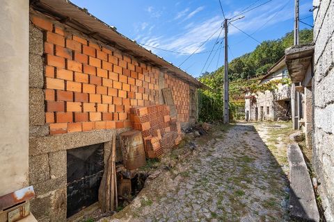 Villa a Terras de Bouro, Braga, Terras de Bouro - € 195.000 | Ref: 126971023-15 - foto 15