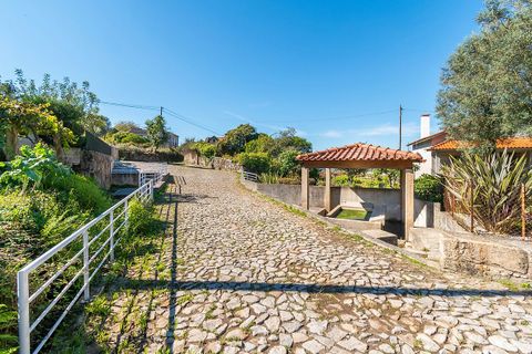 Helårsgrund i Ponte de Lima, Viana do Castelo, Ponte de Lima - € 65.000 | Ref: 123331135-94 - foto 5
