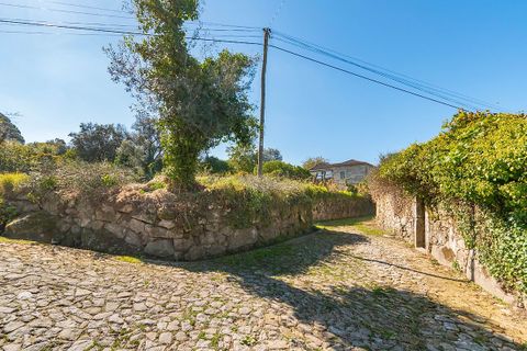 Helårsgrund i Ponte de Lima, Viana do Castelo, Ponte de Lima - € 65.000 | Ref: 123331135-94 - foto 6