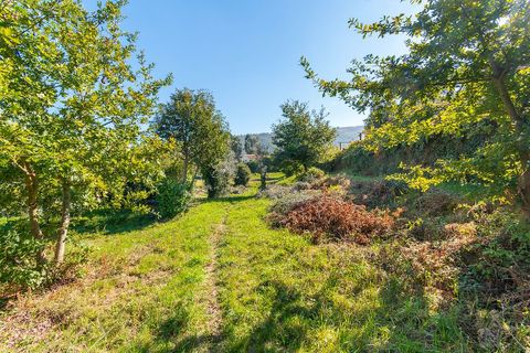 Helårsgrund i Ponte de Lima, Viana do Castelo, Ponte de Lima - € 65.000 | Ref: 123331135-94 - foto 9