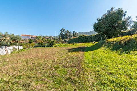 Helårsgrund i Ponte de Lima, Viana do Castelo, Ponte de Lima - € 65.000 | Ref: 123331135-94 - foto 11