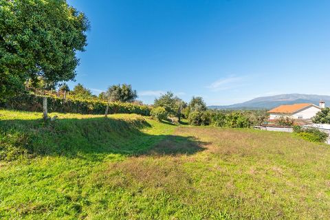 Helårsgrund i Ponte de Lima, Viana do Castelo, Ponte de Lima - € 65.000 | Ref: 123331135-94 - foto 12