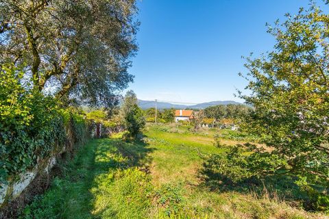 Helårsgrund i Ponte de Lima, Viana do Castelo, Ponte de Lima - € 65.000 | Ref: 123331135-94 - foto 13