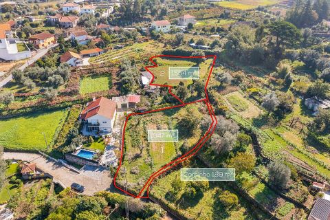Helårsgrund i Ponte de Lima, Viana do Castelo, Ponte de Lima - € 65.000 | Ref: 123331135-94 - foto 22