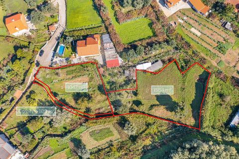 Helårsgrund i Ponte de Lima, Viana do Castelo, Ponte de Lima - € 75.000 | Ref: 123331135-95 - foto 4