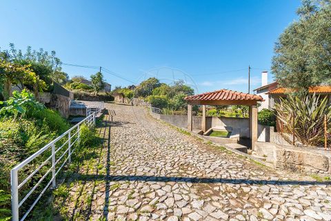 Helårsgrund i Ponte de Lima, Viana do Castelo, Ponte de Lima - € 75.000 | Ref: 123331135-95 - foto 6