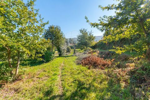 Helårsgrund i Ponte de Lima, Viana do Castelo, Ponte de Lima - € 75.000 | Ref: 123331135-95 - foto 9