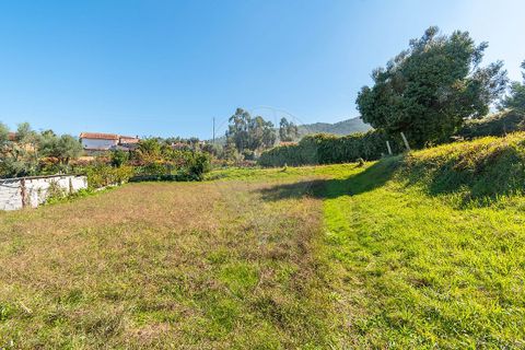 Helårsgrund i Ponte de Lima, Viana do Castelo, Ponte de Lima - € 75.000 | Ref: 123331135-95 - foto 11