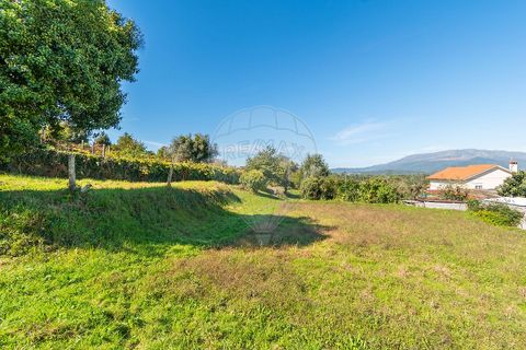 Helårsgrund i Ponte de Lima, Viana do Castelo, Ponte de Lima - € 75.000 | Ref: 123331135-95 - foto 12