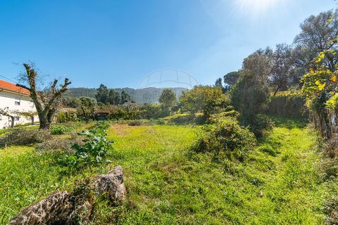 Helårsgrund i Ponte de Lima, Viana do Castelo, Ponte de Lima - € 75.000 | Ref: 123331135-95 - foto 13